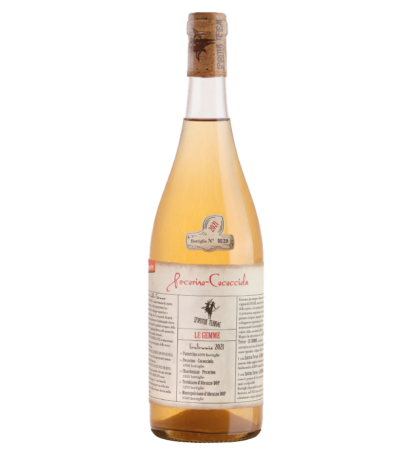 Gemme Pecorino Cococciola 75cl